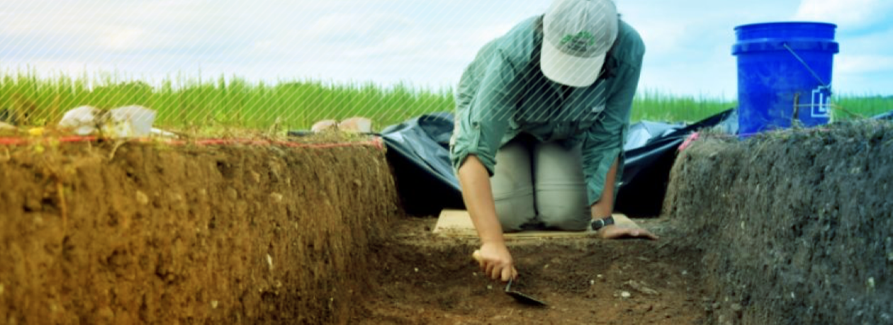 A person excavating with small hand tool