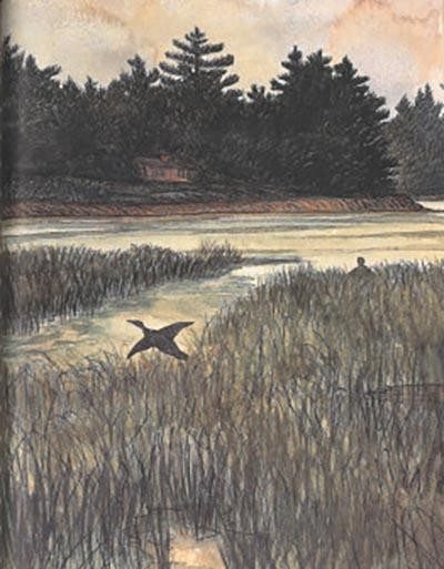 Image of a children's book cover with a duck flying over a reedy shore.