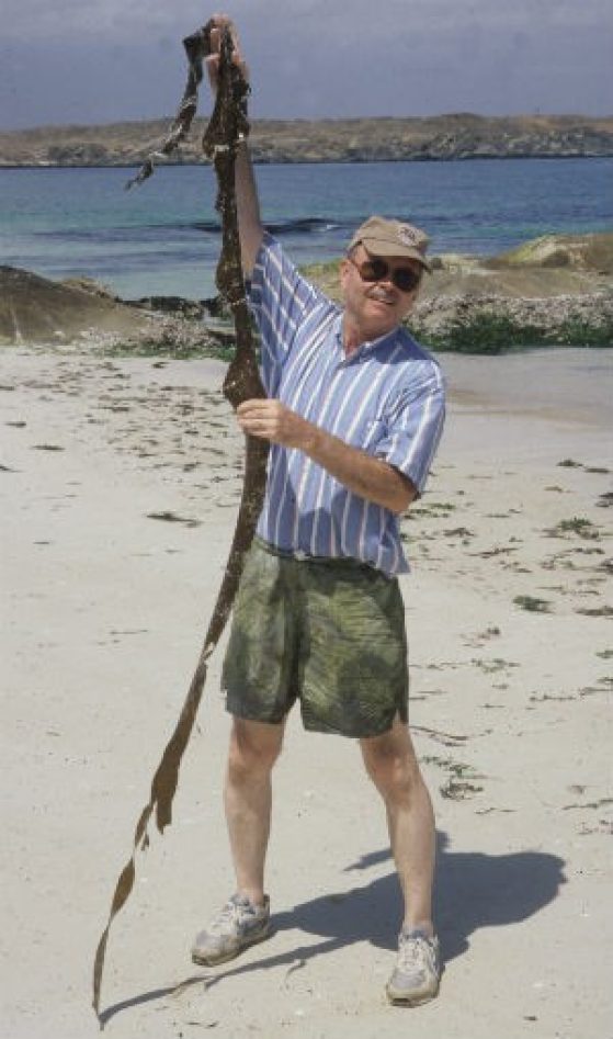 Mike Wynne holding a large specimen of an Omani seaweed in 2000