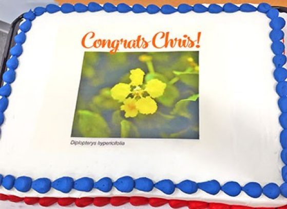 Retirement cake with a picture of a flower