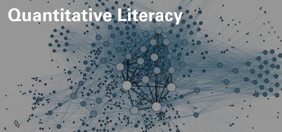 Quantitative Literacy link