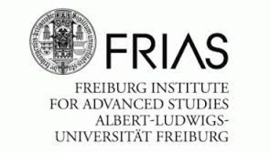 FRIAS Logo