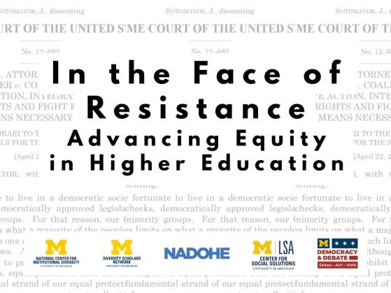 website graphic In the Face of Resistance Advancing Equity in Higher Education