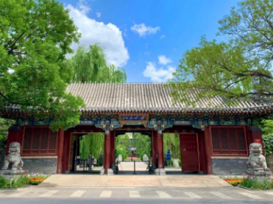 Red gate at Peking University with two stone lions flanking the entrance columns