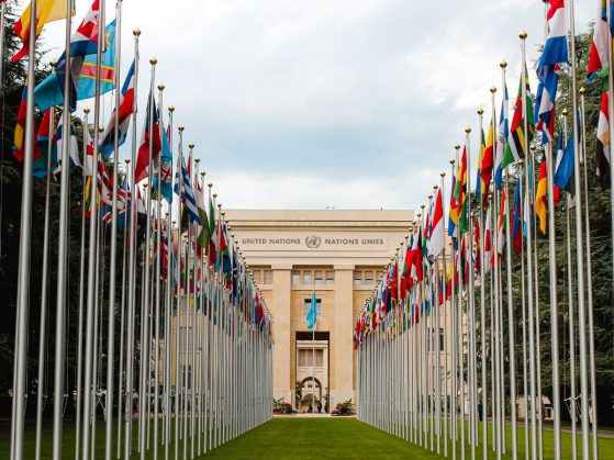 United Nations headquarters in Geneva with world flags lining the walkway