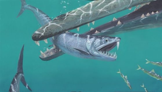 Artistic rendition of the 45-million-year-old saber-toothed anchovy Monosmilus chureloides gen. et sp. nov.   Artist: Joschua Knüppe