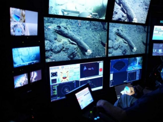 image of mammoth tusk being viewed from deep sea remotely operated vehicle
