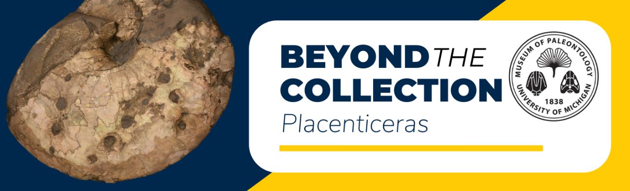 banner for Placenticeras beyond exhibit page