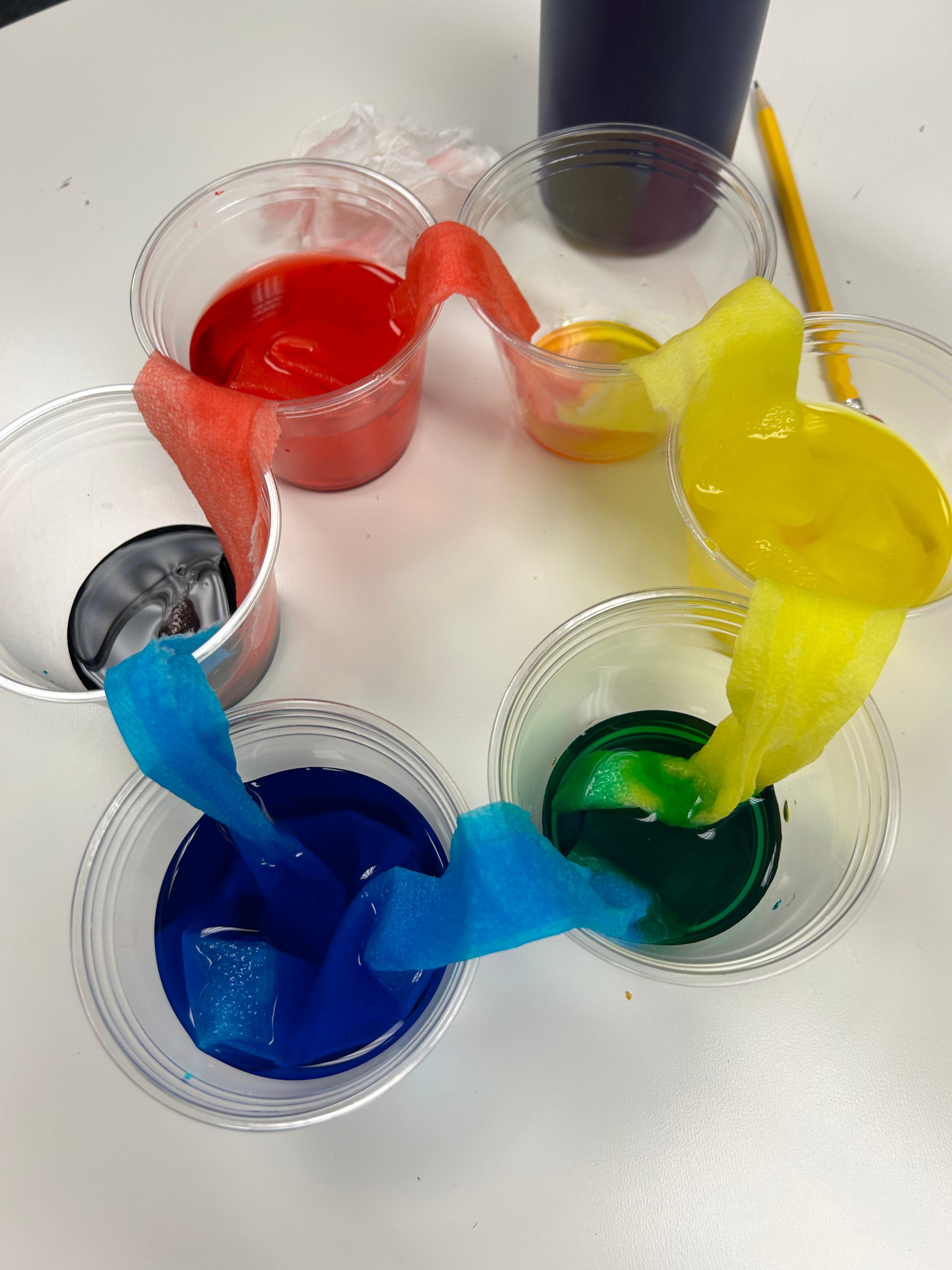 An experiment from Kids in Science consisting of cups of different colors of liquid and a cloth connecting them