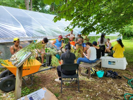 12 people sit in a circle on makeshift benches holding freshly picked garlic with a hoop house in the background