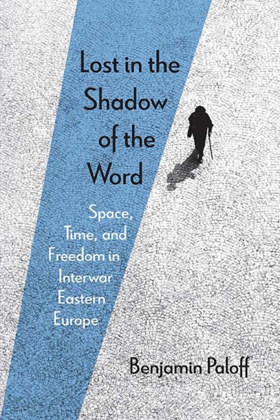 cover of Lost in the Shadow of the Word