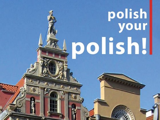 Polish Brochure (PDF)