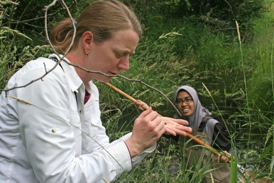 A professor inspects and insect as a student wearing a hijab looks on.