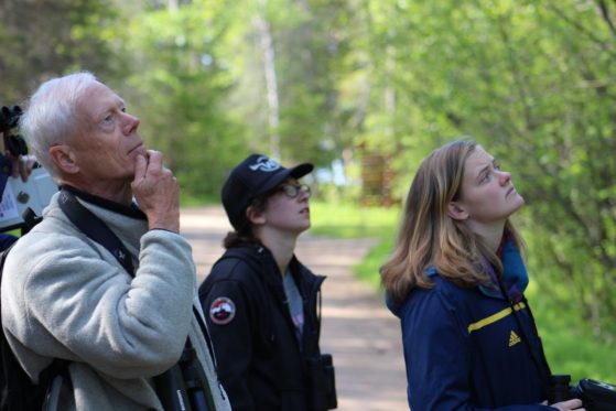 A professor and his students look into a stand of trees, searching for birds.