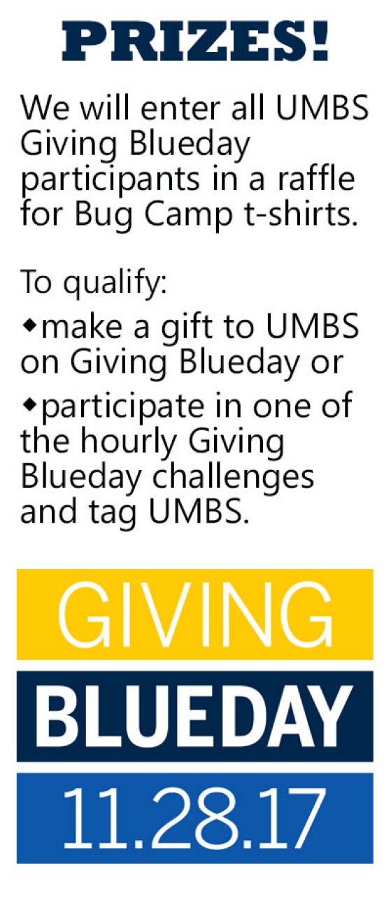 All participants in UMBS Giving Blueday will be entered in a raffle for t-shirts