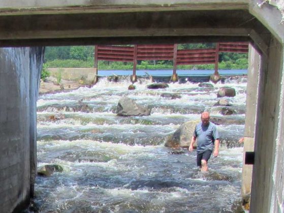 Image of Paul Moore standing in the spillway at the Maple River dam