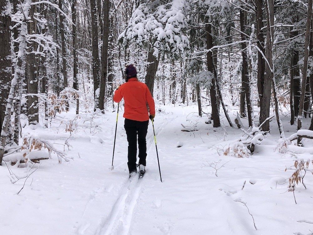 Person skis on snow through forest
