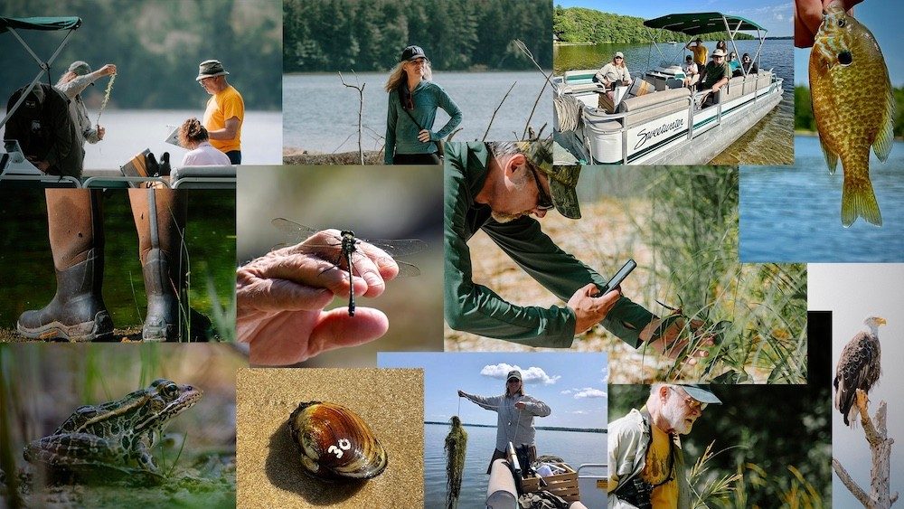 Collage of photos showing people, plants, birds and fish