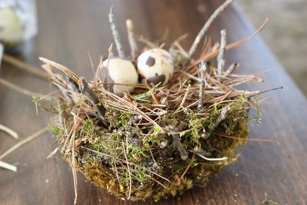 Fake nest and fake eggs