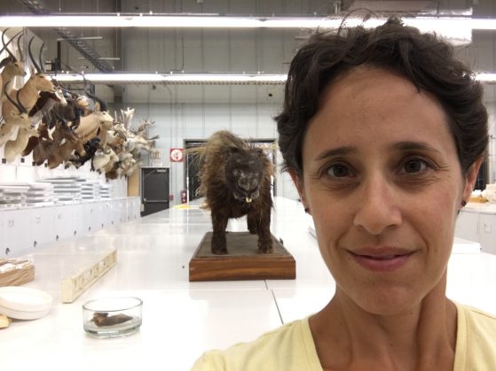 Dr. Jessica Light poses in front of some mammal specimen.