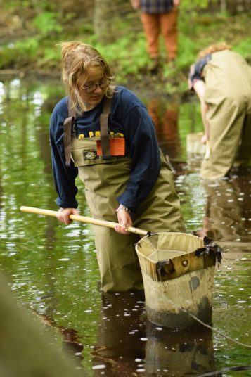 A student in chest waders lifts a net out of the water