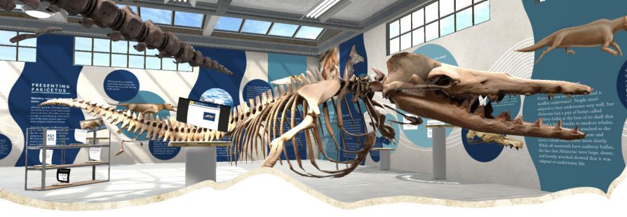 Virtual prehistoric whale