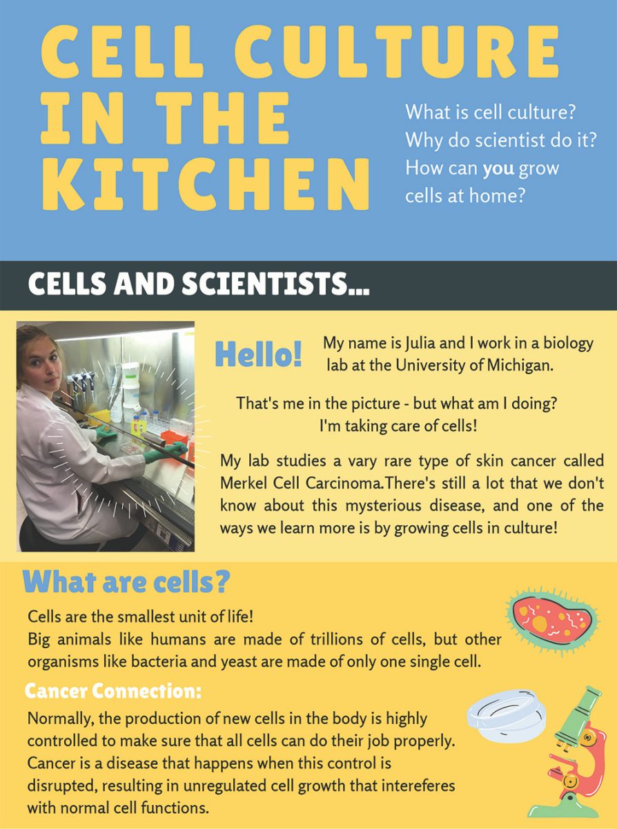 Cell Culture poster