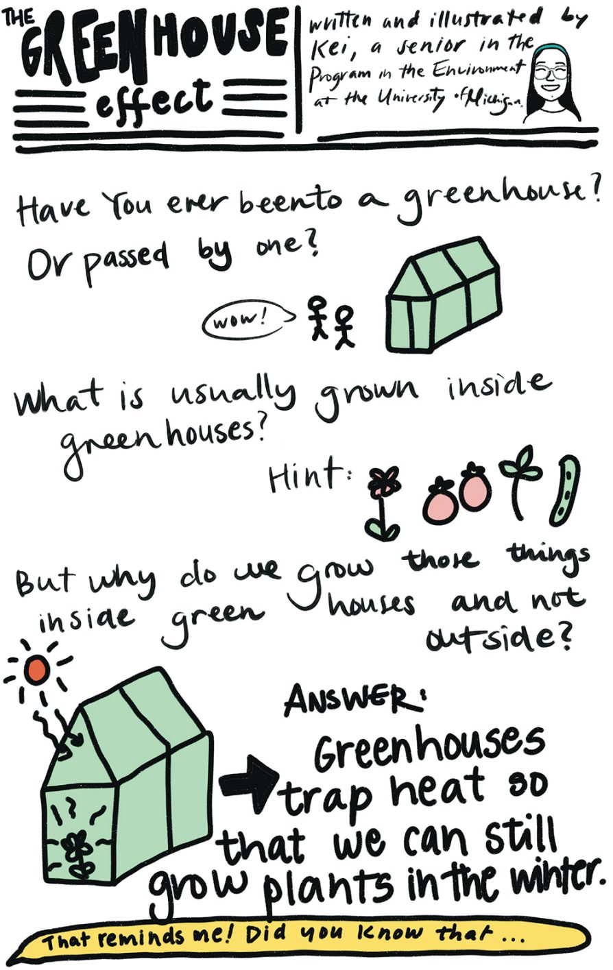 The Greenhouse Effect poster
